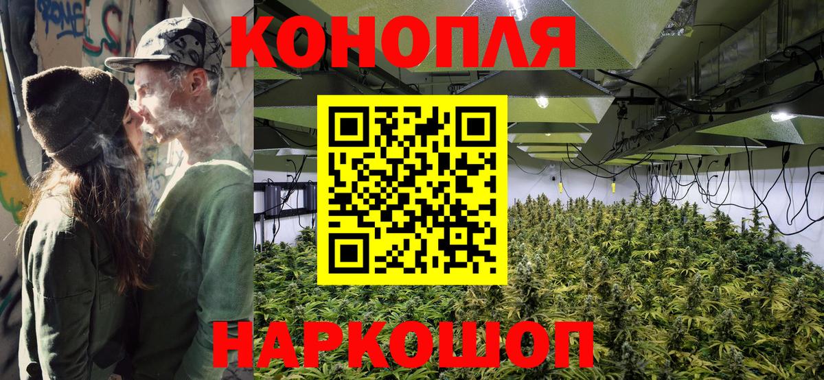 Бошки марихуана сатива  Вход с VPN  Бошки Шишки сатива  Бошки Шишки SATIVA & INDICA  Канабис планчик  Ступино 
