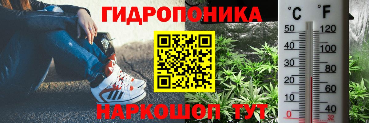 Конопля сатива Ступино